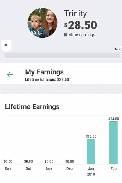 Ibotta earnings