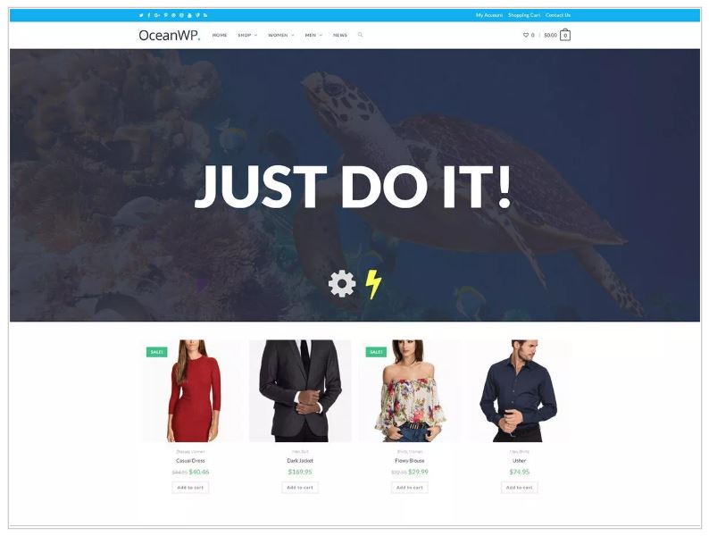 Small Business Website Theme: OceanWP