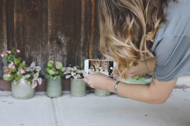 woman taking pictures of plants