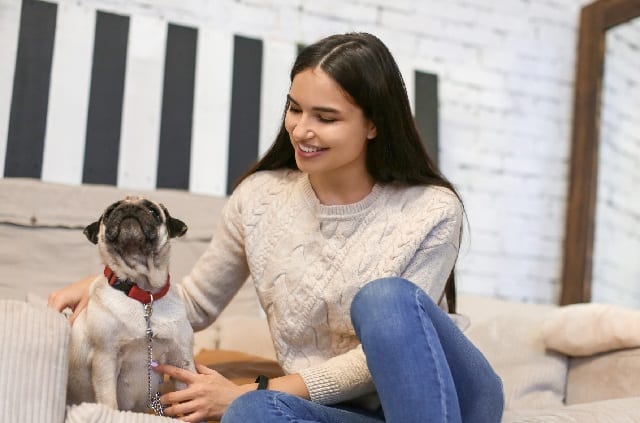 How to Become a Pet Sitter and Care for Animals In Your Home