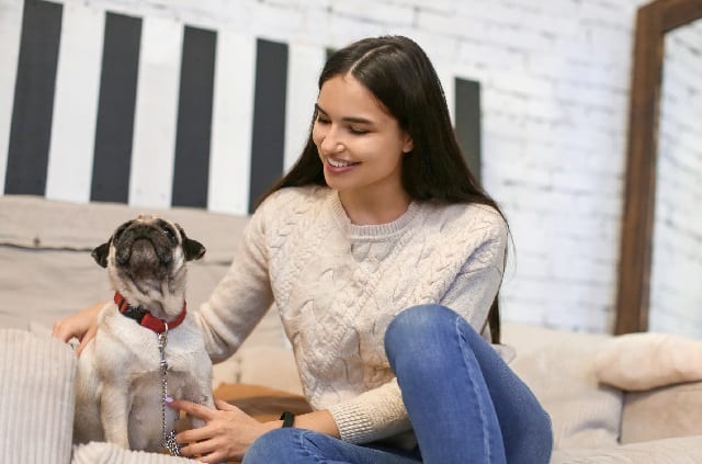 Woman pet sitting a pug