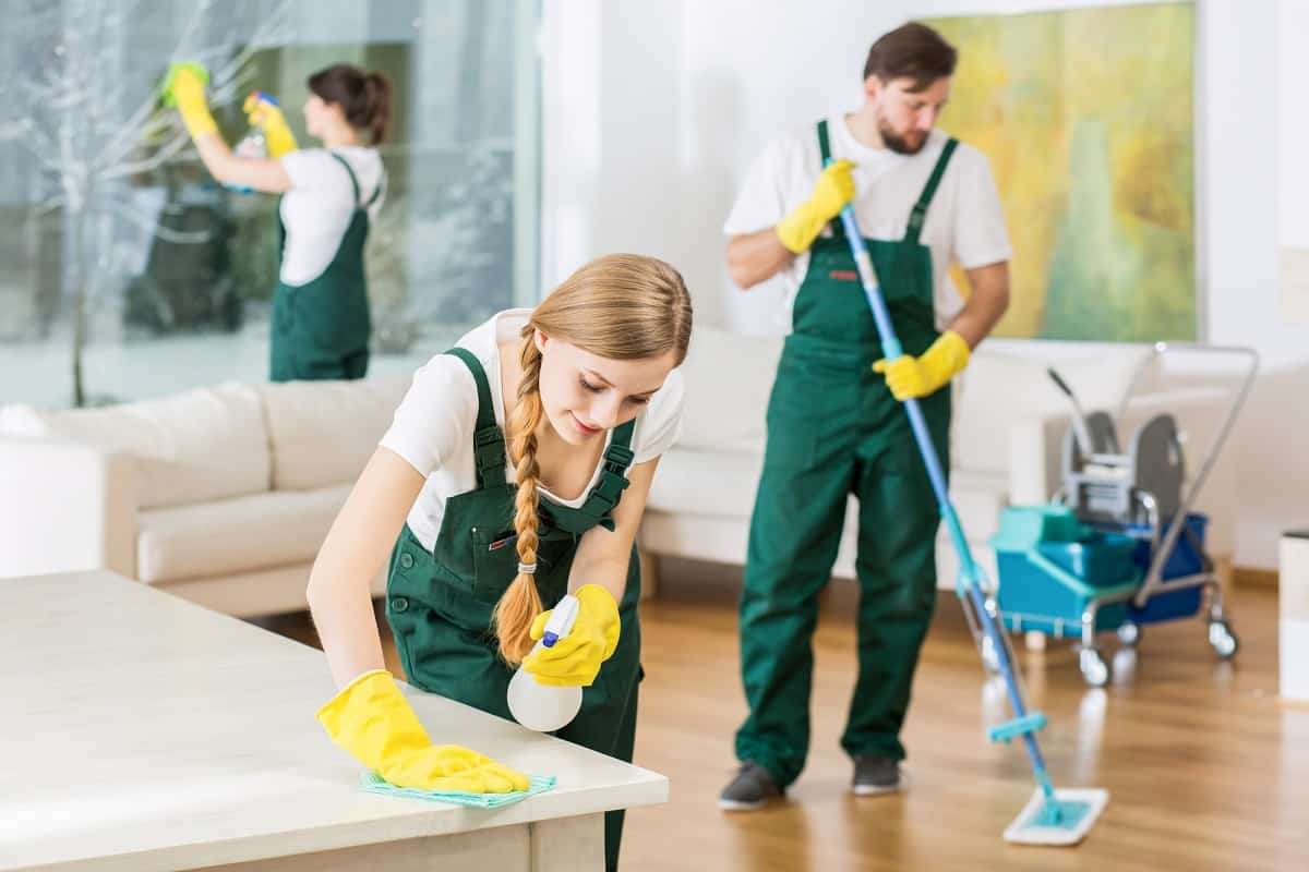 Professionals cleaning a home
