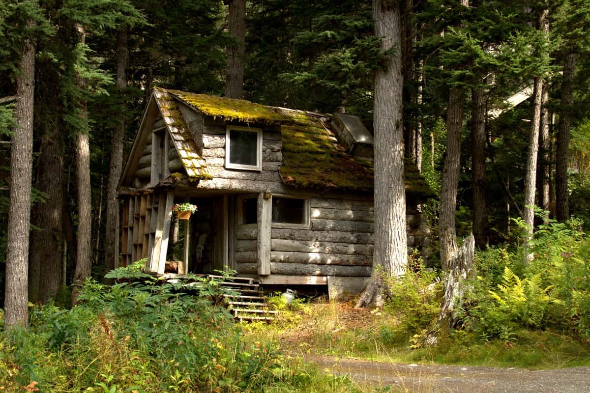 Small cabin in the wilderness