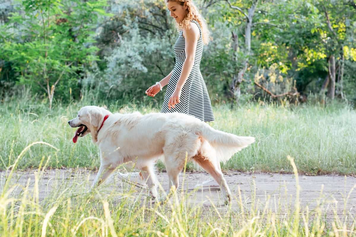 woman walking a dog